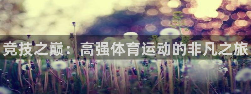 MK体育官网下载官方客服电话：竞技之巅：高强体育运动