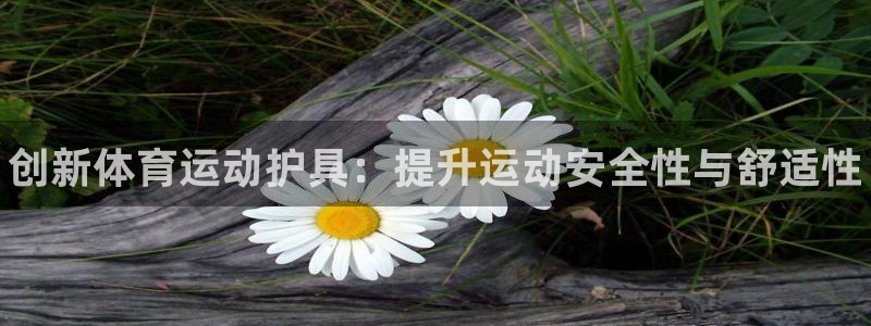 MK体育官方集团官网