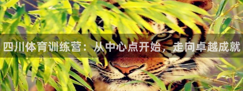 MK体育官网下载官方客服电话