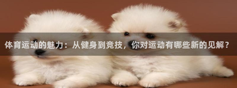 MK体育官网下载平台是正规平台吗知乎：体育运动的魅力：从健身