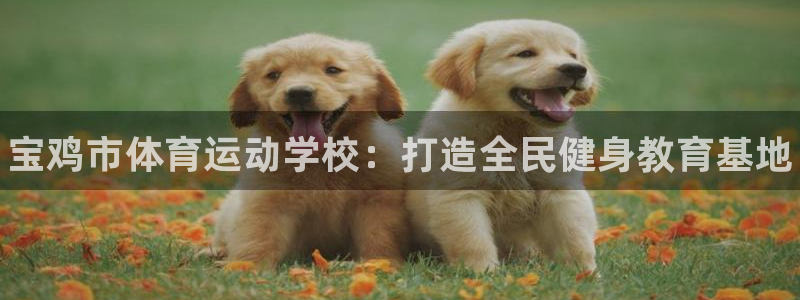 MK体育官方正版app科技