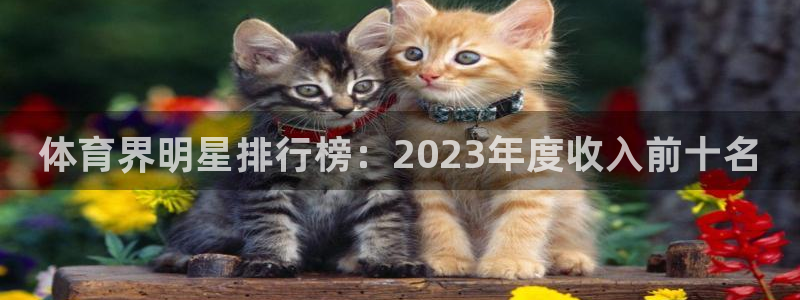 MK体育官方正版app科技：体育界明星排行榜：2023年度收
