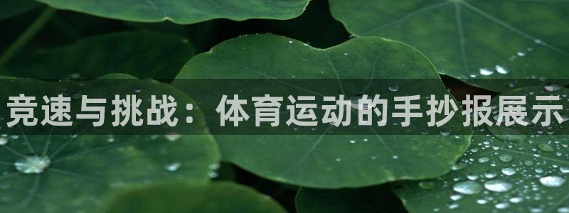 MK体育官方正版app五金厂