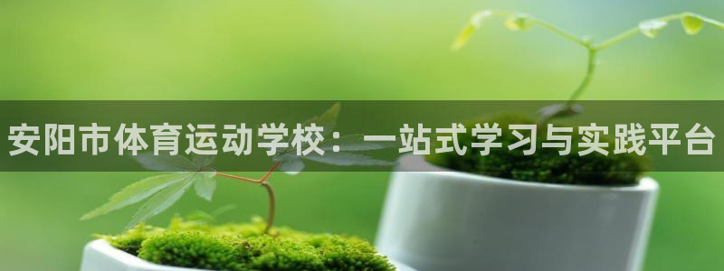MK体育官网下载招商电话号码查询：安阳市体育运动学校：一站式