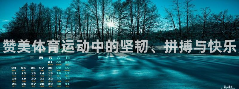 MK体育官网下载招商电话号码是多少：赞美体育运动中的坚韧、拼