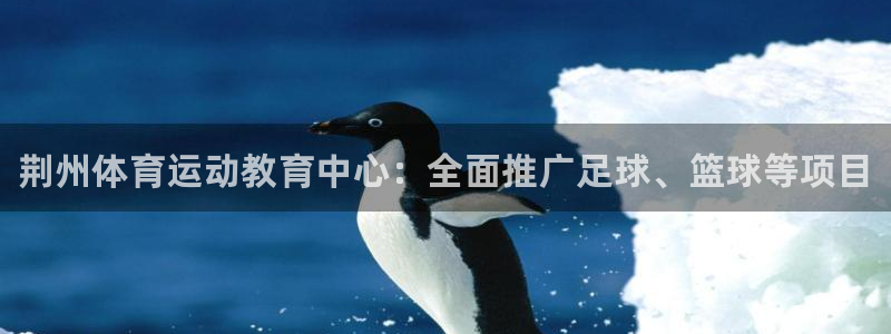MK体育官网下载招商电话地址查询：荆州体育运动教育中心：全面