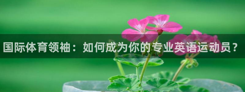 MK体育官网下载招商电话是多少：国际体育领袖：如何成