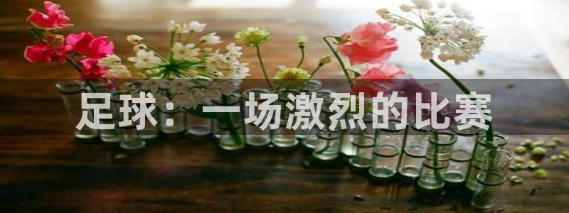 MK体育官方正版app集团官网首页：足球：一场激烈的