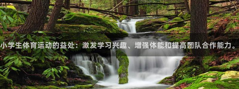 MK体育官网下载平台注册流程视频：小学生体育运动的益
