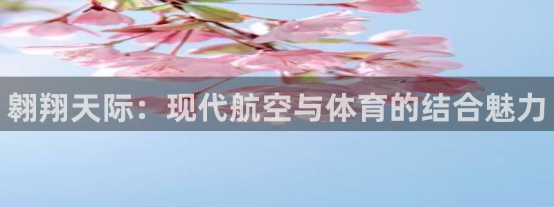 MK体育官方正版app开户：翱翔天际：现代航空与体育