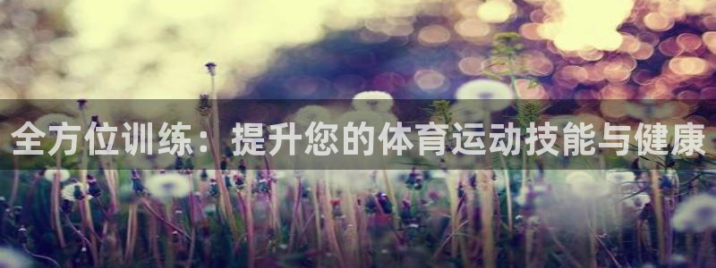 MK体育官方正版app代理