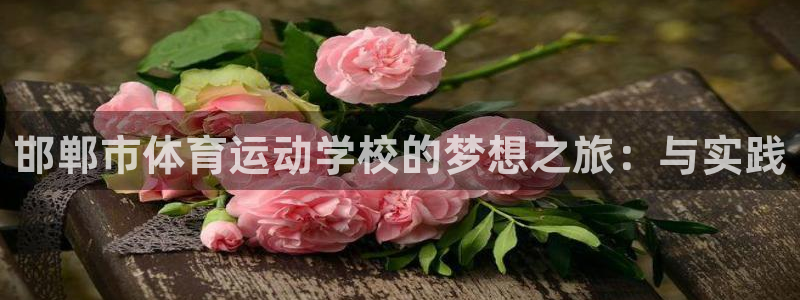 MK体育官网下载招商