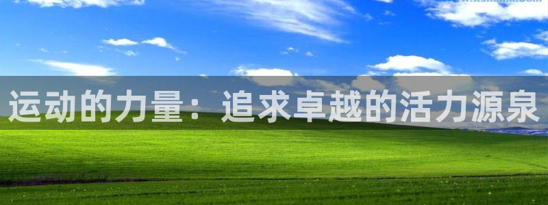 MK体育官网下载招商电话地址是多少：运动的力量：追求