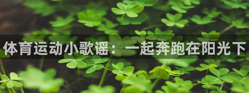 MK体育官方正版app娱乐是那个系列的台子