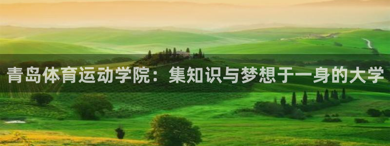 MK体育官网下载