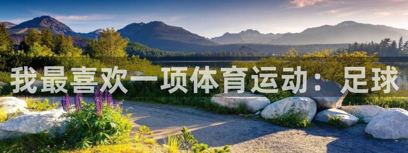 MK体育官方正版app官网