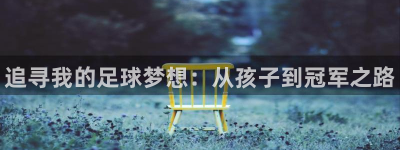 MK体育官网下载娱乐：追寻我的足球梦想：从孩子到冠军