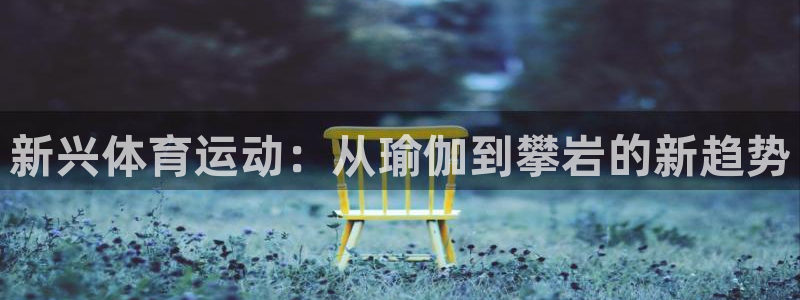 MK体育官方正版app五金厂：新兴体育运动：从瑜伽到