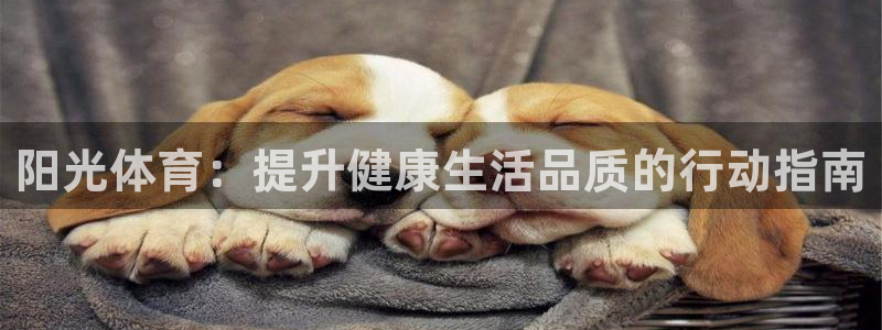 MK体育官网下载招商电话号码查询：阳光体育：提升健康