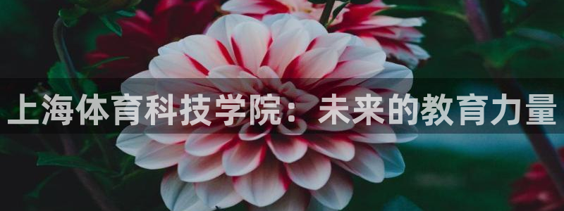 MK体育官网下载平台注册流程图：上海体育科技学院：未