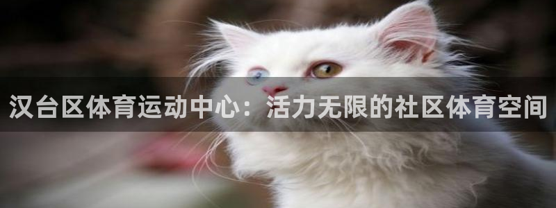 MK体育官方正版app娱乐下载：汉台区体育运动中心：活力无限