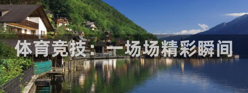 海南MK体育官网下载：体育竞技：一场场精彩瞬间