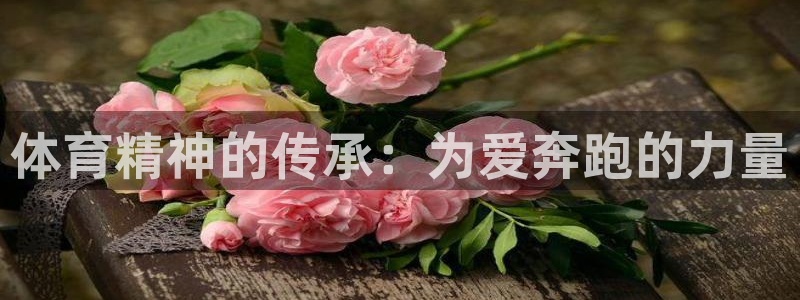 MK体育官网下载开户：体育精神的传承：为爱奔跑的力量