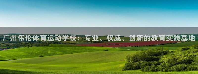 MK体育官网下载平台假的吗是真的吗吗：广州伟伦体育运