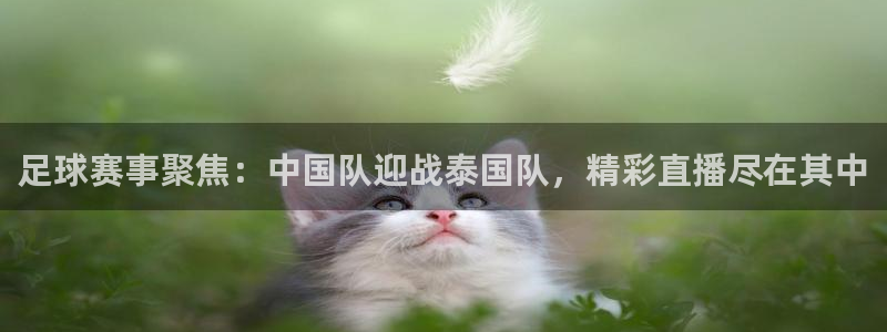球神直播在线直播免费观看：足球赛事聚焦：中国队迎战泰国队，精彩直播尽在其中