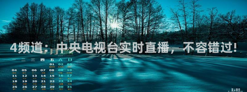 球神直播网免费直播在线观看：4频道：中央电视台实时直播，不容错过!