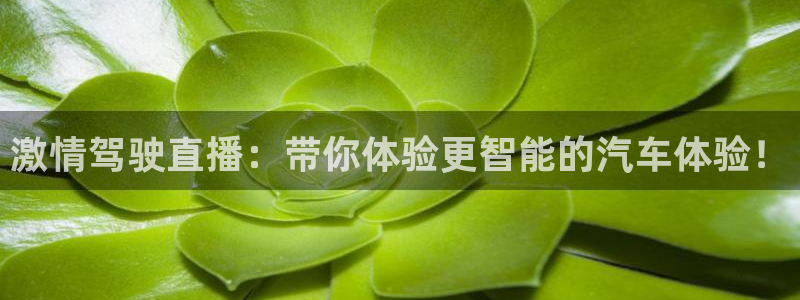 nba直播球神直播：激情驾驶直播：带你体验更智能的汽车体验！