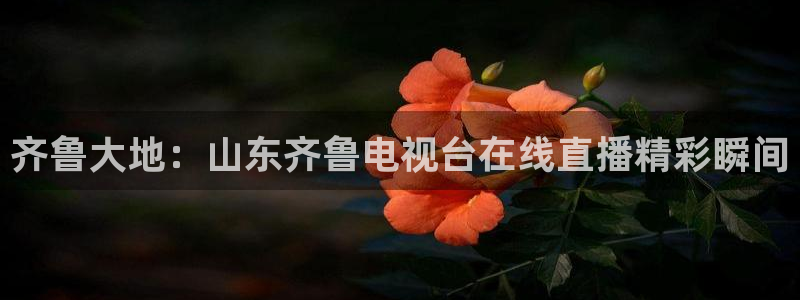 nba直播球神直播：齐鲁大地：山东齐鲁电视台在线直播精彩瞬间